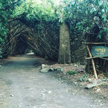 碧草池文化樹木園.jpg